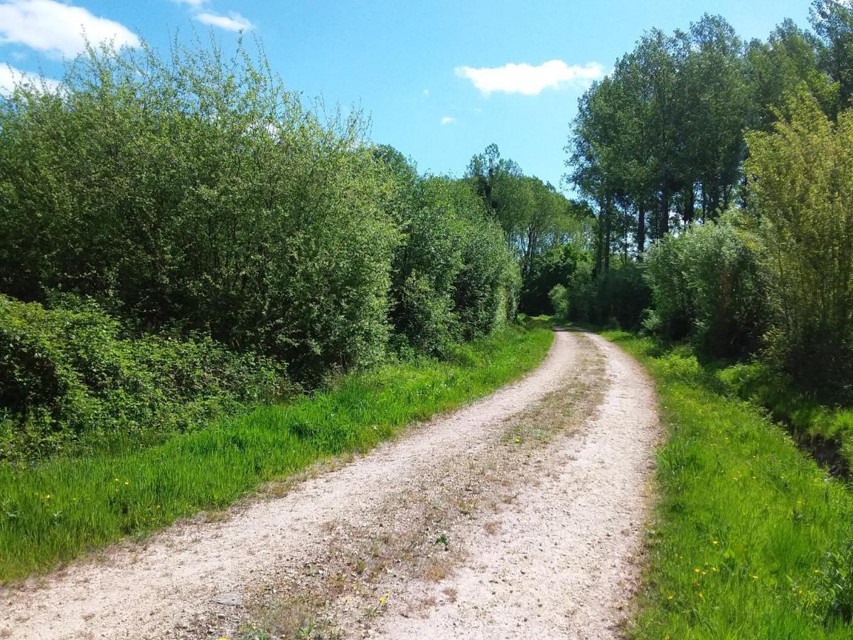Petite Maison Normande Bellou-en-Houlme エクステリア 写真